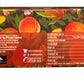 PEACH FLAVOURED BLACK TEA – 25 TEA BAGS